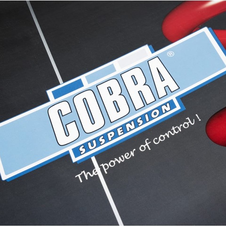 Cobra Verlagingsveren (3)
